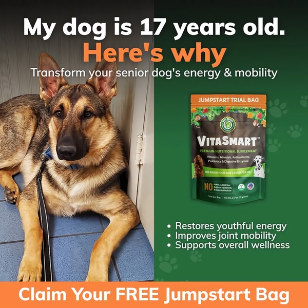 A split-screen ad creative featuring a senior dog on the left and the product packaging on the right, emphasizing age-defying benefits.